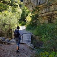 Dans les gorges.