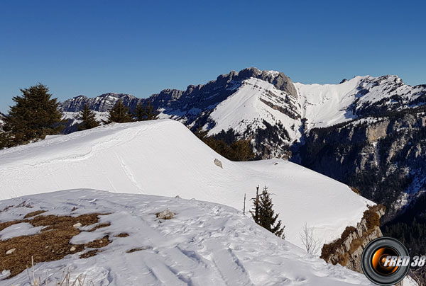 Le sommet du Roc d'Arguille.