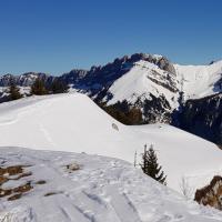 Le sommet du Roc d'Arguille.