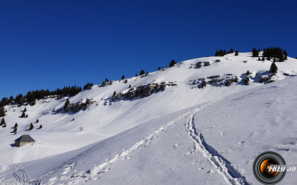 Au dessu du Habert.