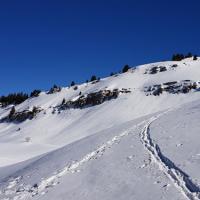 Au dessu du Habert.