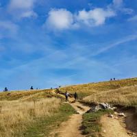 Arrivée au col des Ayes.