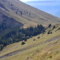 Au dessus du col des Ayes.