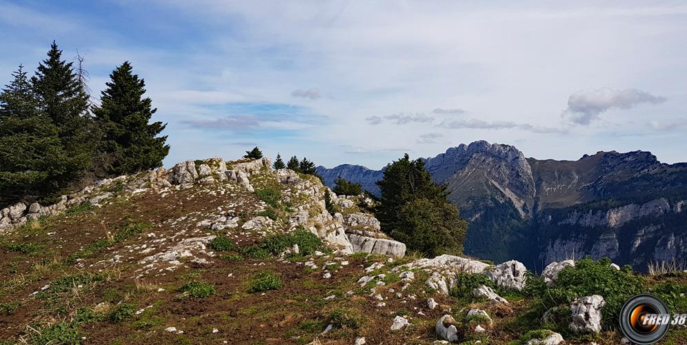 Sommet du Roc d'Arguille