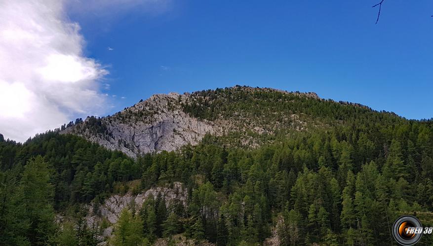 Le sommet vu en cours de montée.