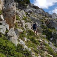 La montée vers la crête.