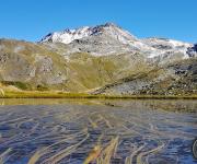 Roche du chardonnet photo