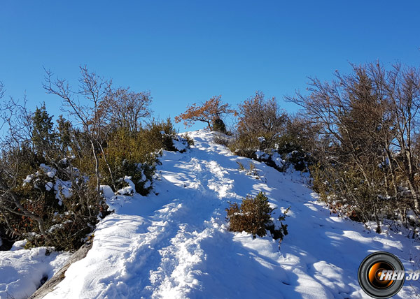 La crête menant au sommet.