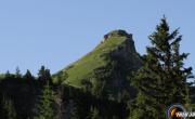 Roche parstire photo