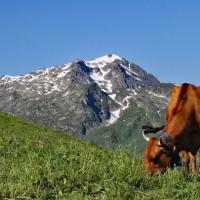 Le Grand Mont