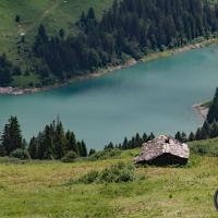 Le bout du lac.