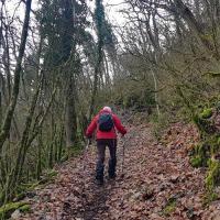 Sentier de retour.