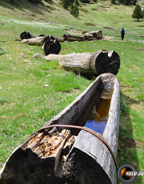 Près de la bergerie de Pison.