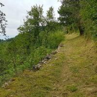 Montée à la Vierge.