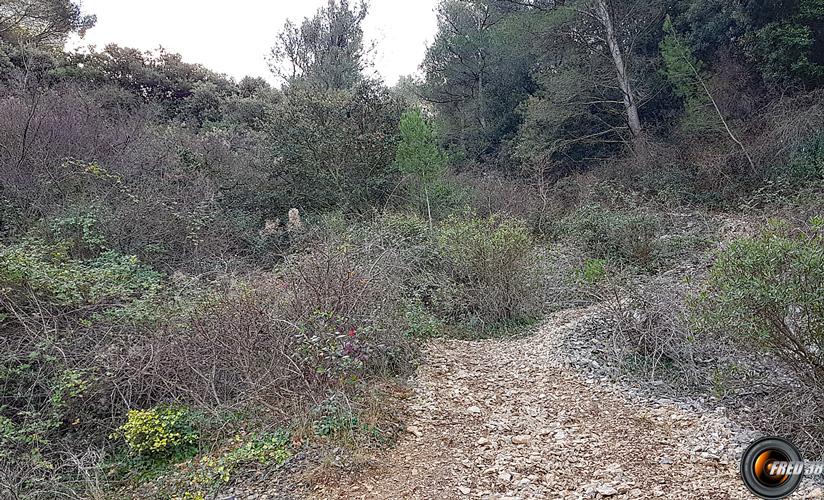 Le sentier de descente en variante