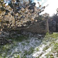 La ruine.
