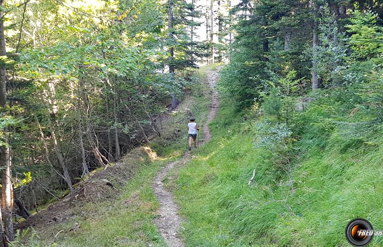 Aprés le col de Papavet.