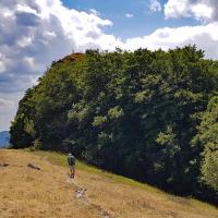 Le Goutaroux.