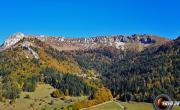 Rognon photo