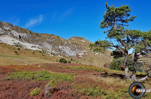 Le sommet vu du col de la Chante