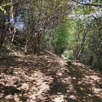 Dans la descente.