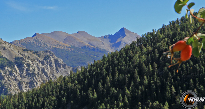 En fond de gauche à droite,