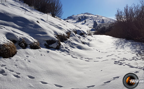 La sortie des bois.