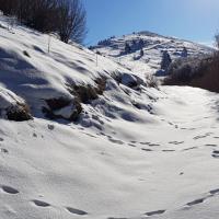 La sortie des bois.