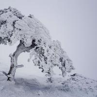 Sur la crête.