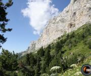 Sentier 2 cols photo