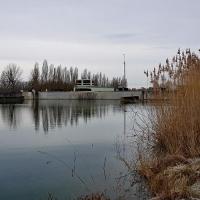Le long du rhône.