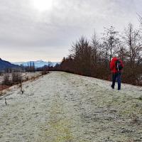 En fond la Chartreuse.
