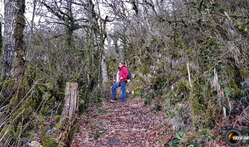 Dans la montée.