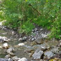 Le torrent dans le ravin de Bramefan.
