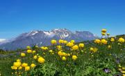 Sentier des peres photo