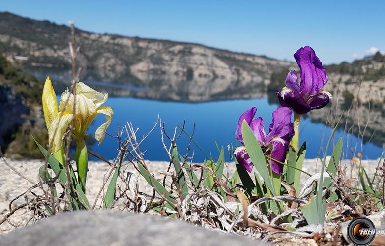 Lac d'Esparron.