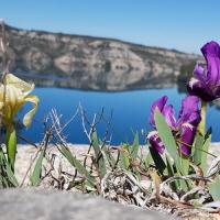 Lac d'Esparron.