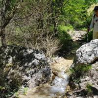 Ruisseau sur le sentier.