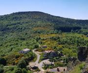 Serre de pied de boeuf photo