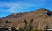 Serre plume photo
