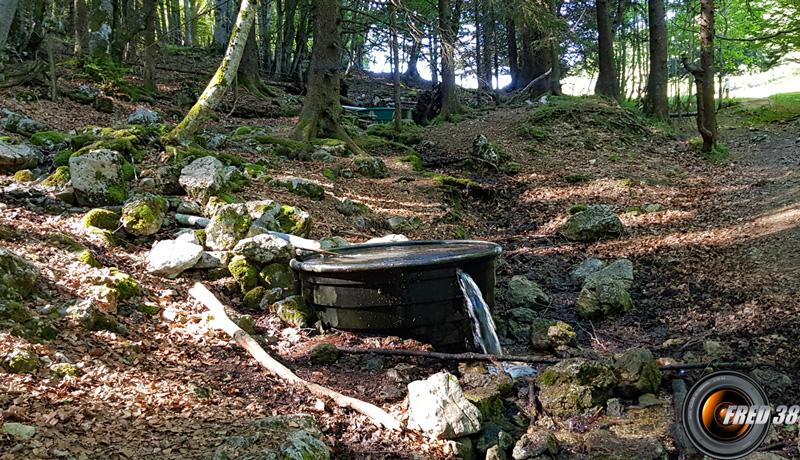 Fontaine des Sangliers.