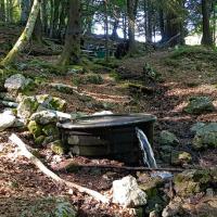 Fontaine des Sangliers.