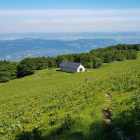 Ferme de Fessole.