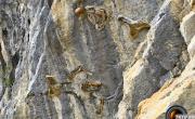 Site hydropitheque photo2