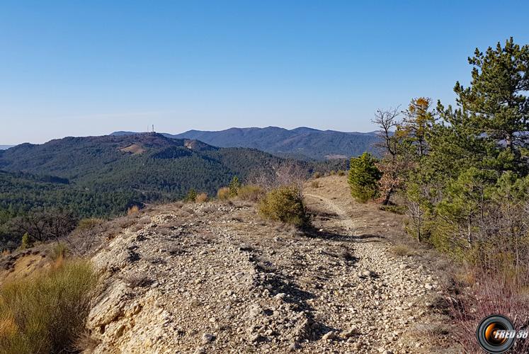 Sentier au départ.