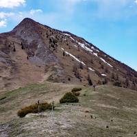 Au col de la Grisonnière.