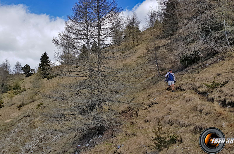 Descente vers la petite prairie