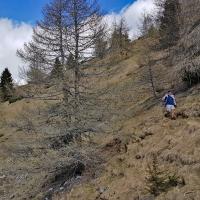Descente vers la petite prairie