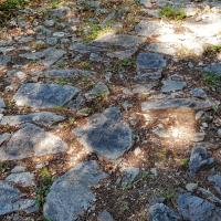 Chemin pavé.