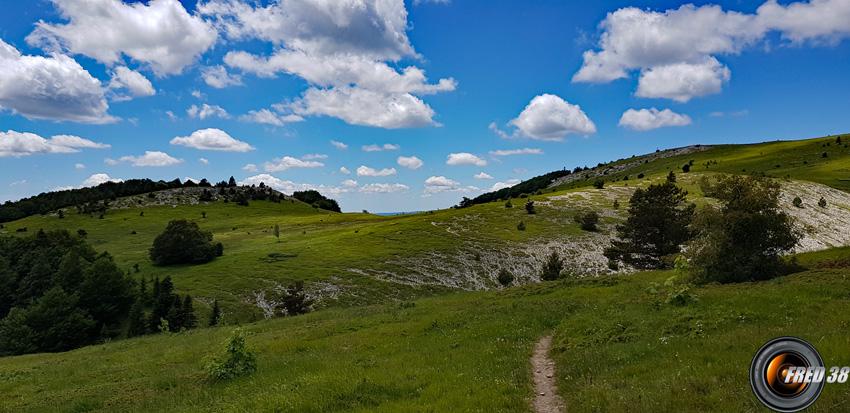 La prairie sous le sommet.